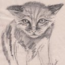 ��� ������ �� ������� ���� ����������