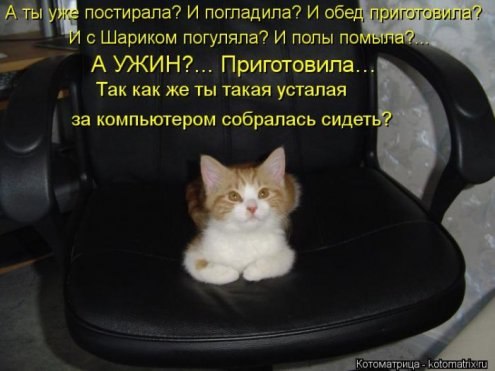 � ����� �����! - 26 ������� 2017 � 07:10