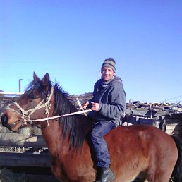 ���� ��������, �������������, 53 ���� - ��������� 25 ����� 2018