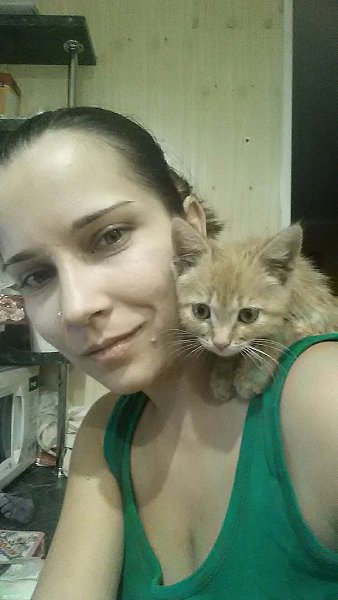 #Безкота_добро.Мы с мужем всегда были уверены, что Своего кота можно только самому найти на улице. ...