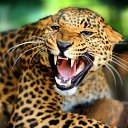 ���� ����, ������������, 51 ��� - ��������� 27 ������ 2018 � ������ ������ ��������