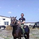 ���� ����, �����������, 50 ��� - ��������� 31 ����� 2018 � ������ ���� ����������