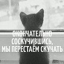 ���� �������, ��������, 51 ��� - ��������� 21 ������ 2018 � ������ �������