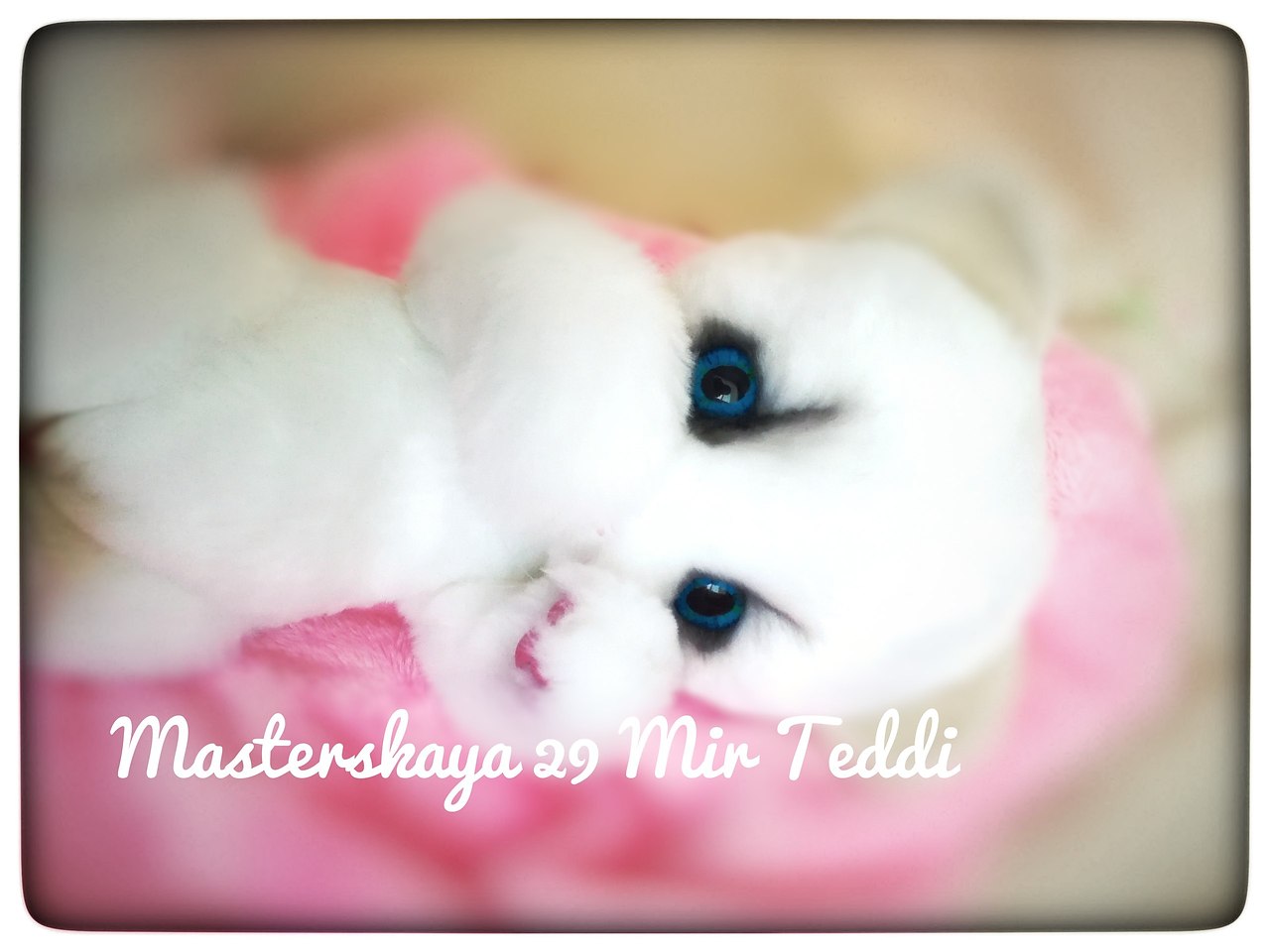 #@fan_handmade.   !!!        ... - 4