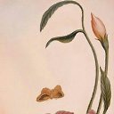 ���� ����, ������ - ��������� 6 ����� 2018 � ������ ���� ����������