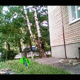 ���� Grifon, ������ �������� - ��������� 6 ���� 2018