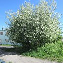 ���� �������, ��������, 47 ��� - ��������� 12 ����� 2018 � ������ �����������