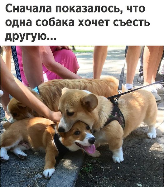 ������� - 11 ������� 2017 � 03:31