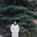 ���� �����, ��������, 63 ���� - ��������� 20 ����� 2018