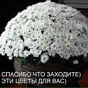 ���� ������, ������, 43 ���� - ��������� 1 ������ 2018 � ������ ���� ����������