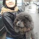 ����� 5 ������� �� ������� ��������