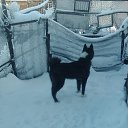 ���� �������, ����������� - ��������� 20 ������� 2017 � ������ ������� ��.�