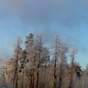 ���� �������, ������� - ��������� 28 ������ 2017