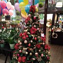 ���� ��������, �����, 62 ���� - ��������� 17 ������� 2017 � ������ �Avataria�