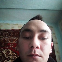 Stoit, �������