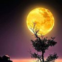 ���� ����, ������ - ��������� 29 ��� 2018 � ������ ���� ����������