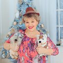 26/12/2017 �� ������� ������ ��������