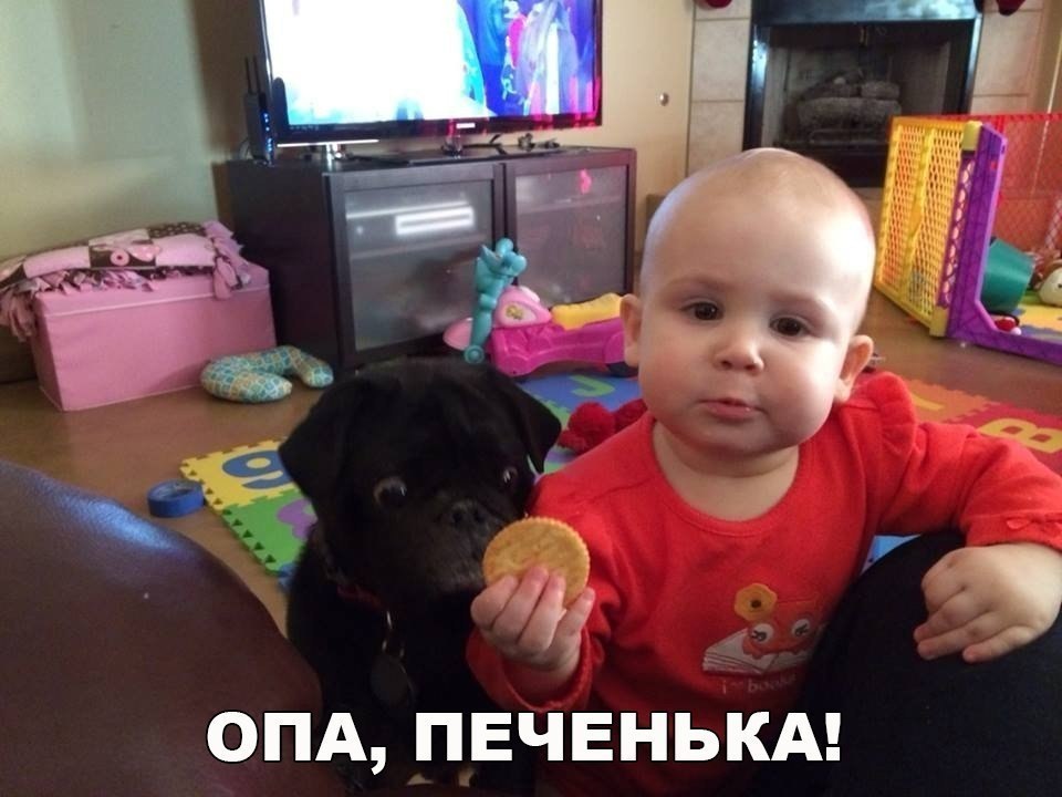    :D - 22  2018  02:49