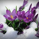 ���� ������, ���������, 55 ��� - ��������� 11 ����� 2018 � ������ ������ ��������
