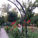 ���� �����, ������, 67 ��� - ��������� 25 ������ 2018