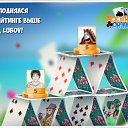 ���� ���������, ������ - ��������� 8 ��� 2018 � ������ �������� �������-�������