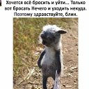 ���� �adam, ������ - ��������� 27 ������ 2017 � ������ ������ ��������