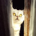 ���� ������, ��������, 60 ��� - ��������� 9 ������ 2018 � ������ ����ۻ