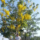 ���� �������, ���������, 46 ��� - ��������� 23 ��� 2018 � ������ ���� ����������