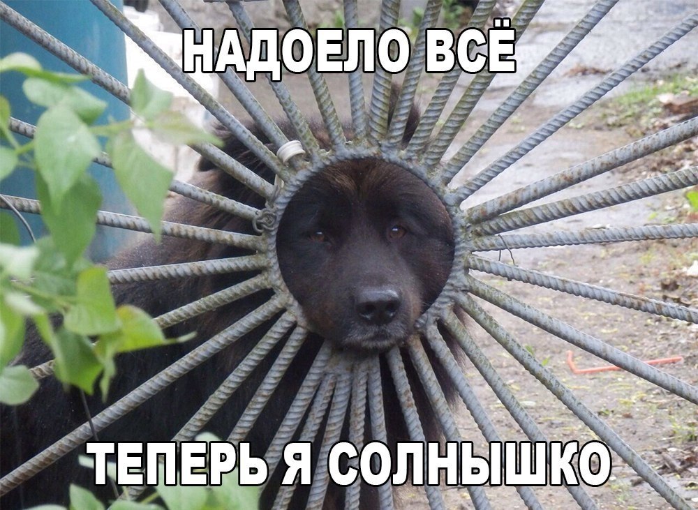 Надпись надоело. Все надоело цитаты. Надоело все картинки. Мне надоел бездушный шумный. Всё надоело цитаты.