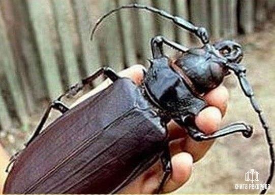   400 .   .   , -,  ...