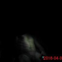  Vaffanculo, , 42  -  18  2018    