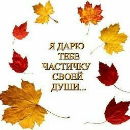 ���� �������, �������, 47 ��� - ��������� 14 ������ 2018