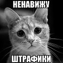 ���� ������, ���������, 45 ��� - ��������� 28 ������ 2018 � ������ ������ ��������