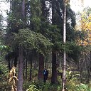 ���� ����, ����������, 58 ��� - ��������� 3 ������� 2017 � ������ ���� ����������