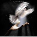 ���� ���������, �����, 53 ���� - ��������� 11 ������ 2018