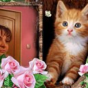  Aili-jevgenia, , 52  -  28  2017    