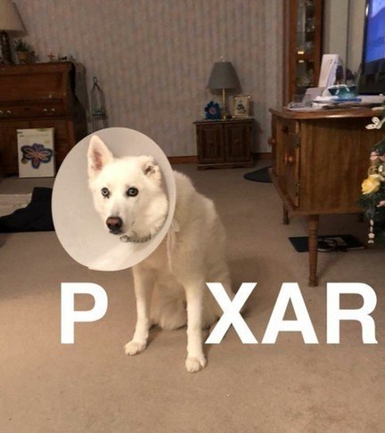      .  