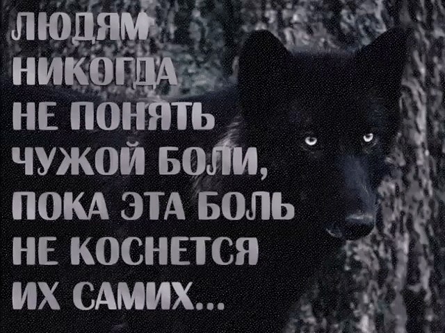  ... - 18  2018  12:33