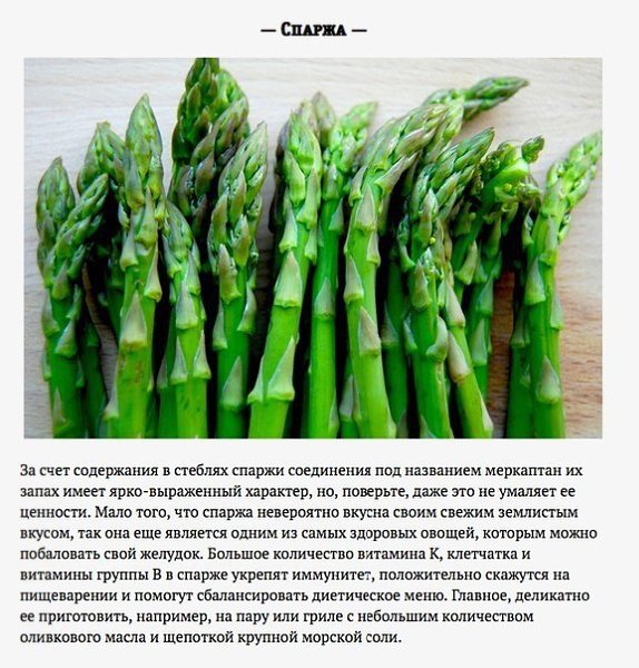 6 главных овощей этой весны.Существует масса причин того, почему весна намного лучше начала нового ... - 4