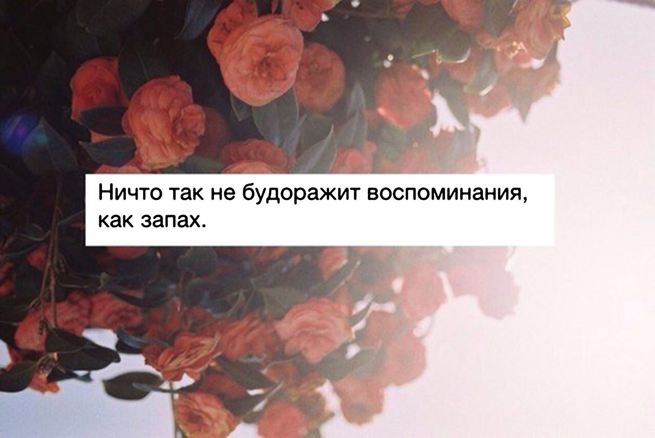    - 19  2018  02:38