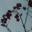  Sabina,  -  25  2017   ...