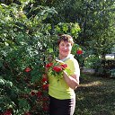 ���� ������, �������� - ��������� 11 ��� 2018 � ������ ���� ����������