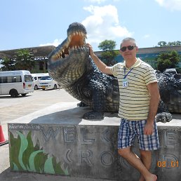 Dim, �����, 50 ���