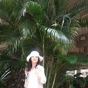 ���� ������, �����������, 48 ��� - ��������� 13 ��� 2018 � ������ ���� ����������