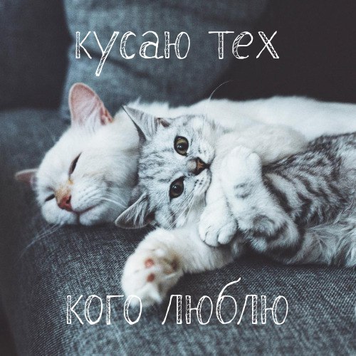 &bull;&bull;&bull;����� �����&bull;&bull;&bull; - 11 ������� 2018 � 00:48
