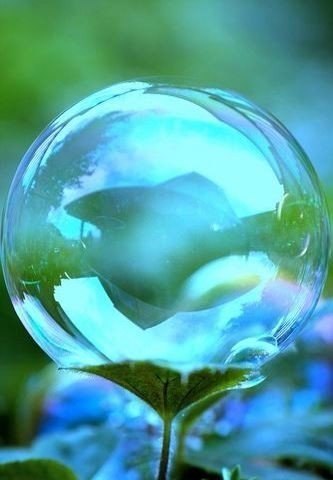 Где есть любви хотя бы капля... .Там терпения океан...