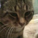 ��� ��� �� ������� ���� ����������