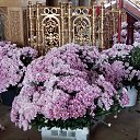 ���� ���������, ���������, 51 ��� - ��������� 16 ������ 2018 � ������ ���� ����������