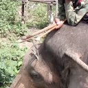 ���� �������, ����������� - ��������� 4 ���� 2018 � ������ ���� ����������