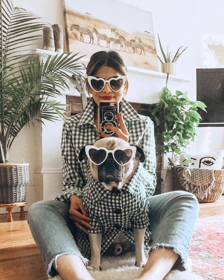     ! : honeyidressedthepug #@ican - 8